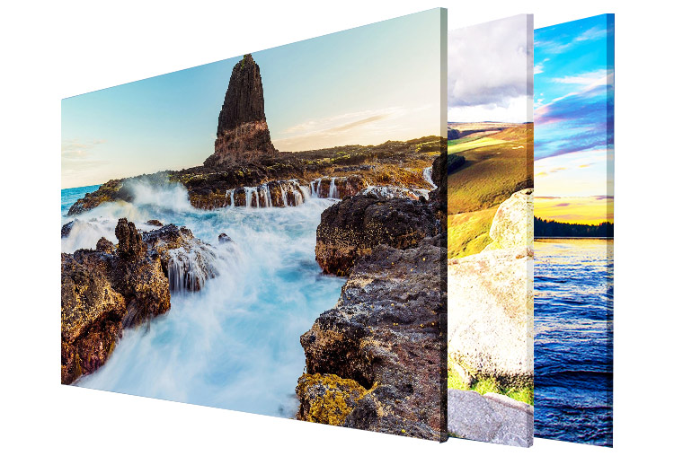 1659424775.jpg 462.jpg